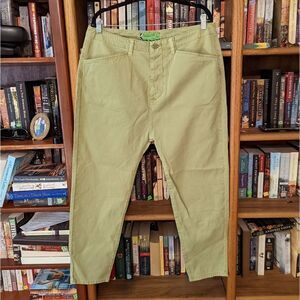 𝅺sr vs Sandrine rose "the virgin label" mint green Capri jeans NWT sz 30